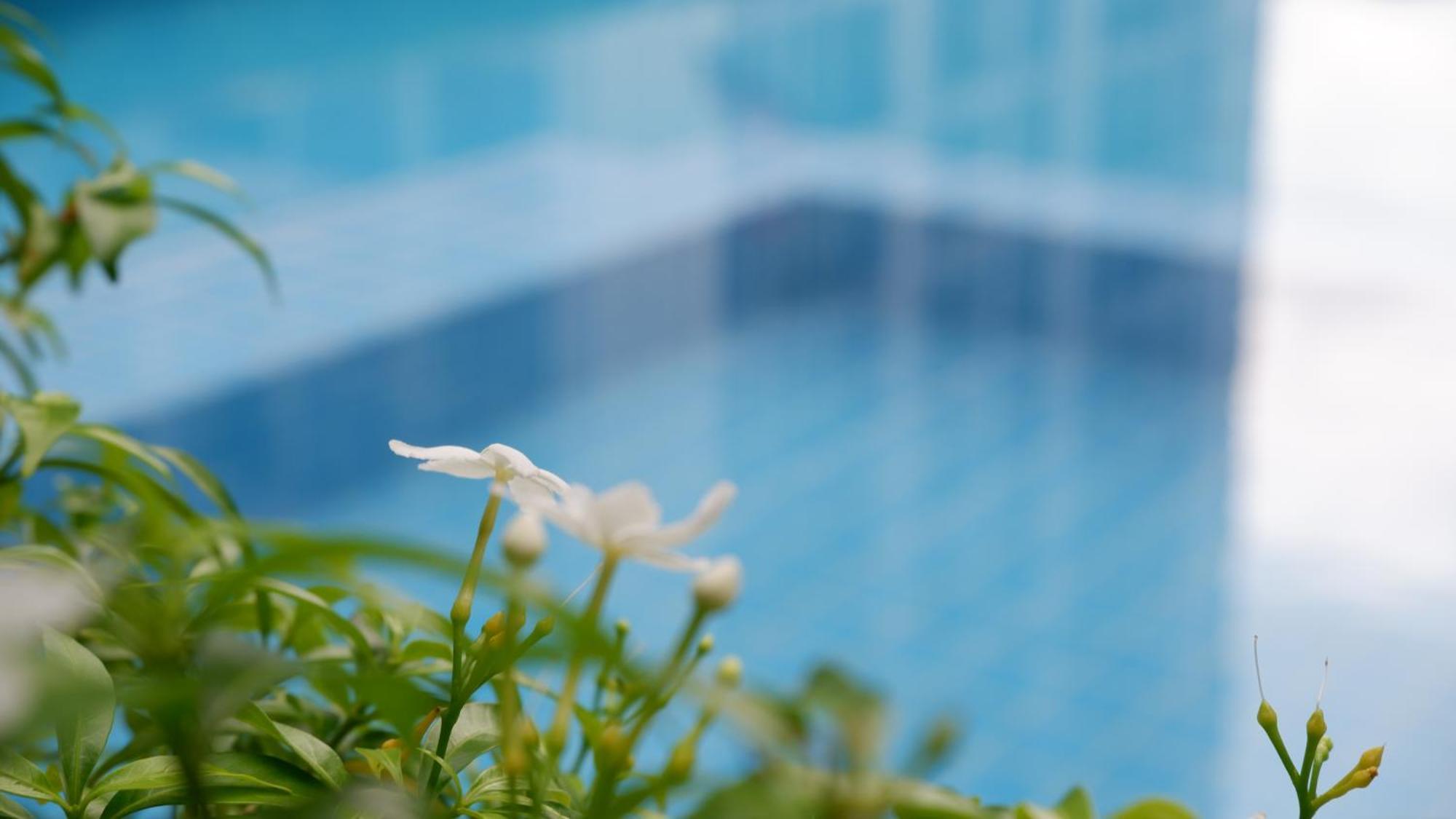 بانكوك 18 Residence المظهر الخارجي الصورة